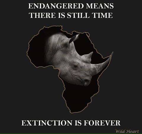 #Extinction is forever! @Y4AWildlife @SaveOurRhinoK9 @EleRhinoMarch buy a #book & support #WildlifeRangers