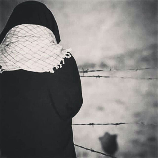 مولاي ان فؤادي جاء منثلما
كي يشتكي لك لك جرحا غير مندمل 

🍃🍂🍃
فلا وحقك لايشفيه من سقم
الاظهورك للدنيا على عجل