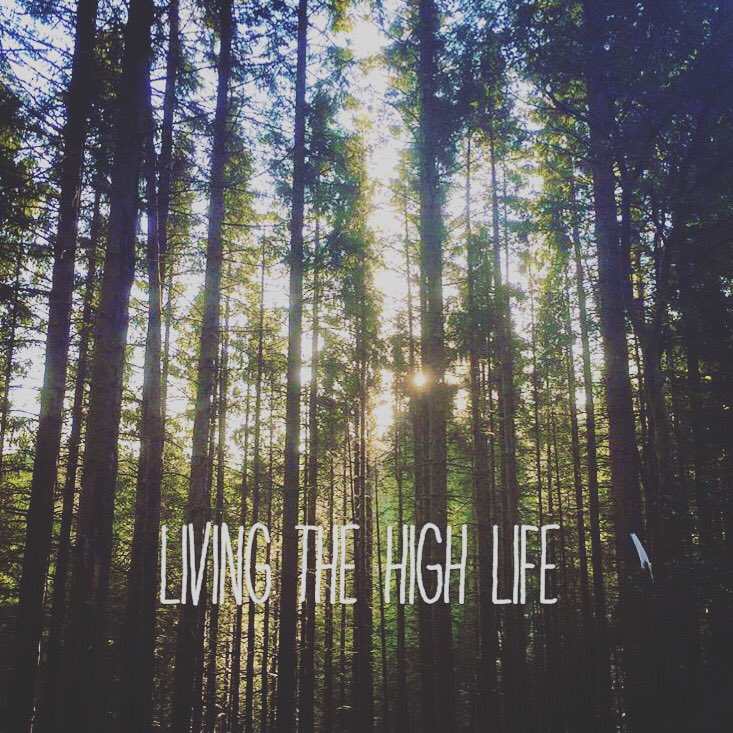 #livingthehife get out there, have fun and travel! #nomad