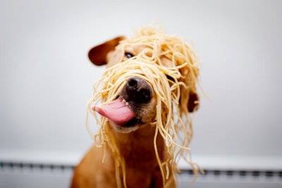 RolandsOnFourth's tweet photo. #AYCE Spaghetti tonight for $9.99! Your Choice of Sauce: Alfredo, Bolognese, Tomato, Rose #RolandsMenu https://t.co/0v5czXf1Uj
