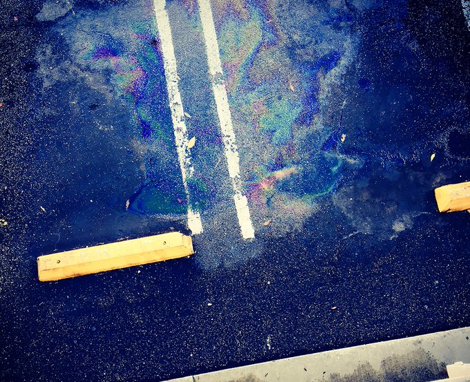 Why are oil stains so pretty? https://t.co/qqajg8G1JM<a href="/tag/meow"class="tags"><span>#meow</span></a><a href="/tag/friskyfriday"class="tags"><span>#friskyfriday</span></a>