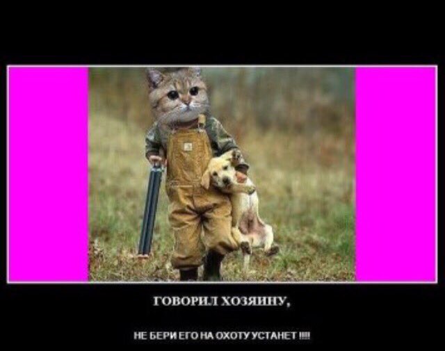 Исмаилов Умед (@ksb77cl0oakfcff) on Twitter photo 