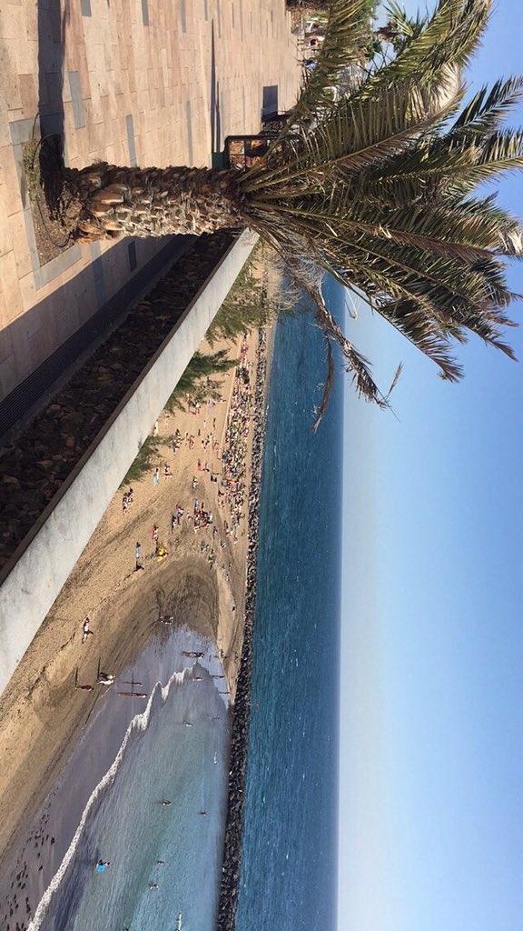 SbardellatiEli's tweet photo. #Canarie 🎉❤️ https://t.co/iCjYsp9RdB