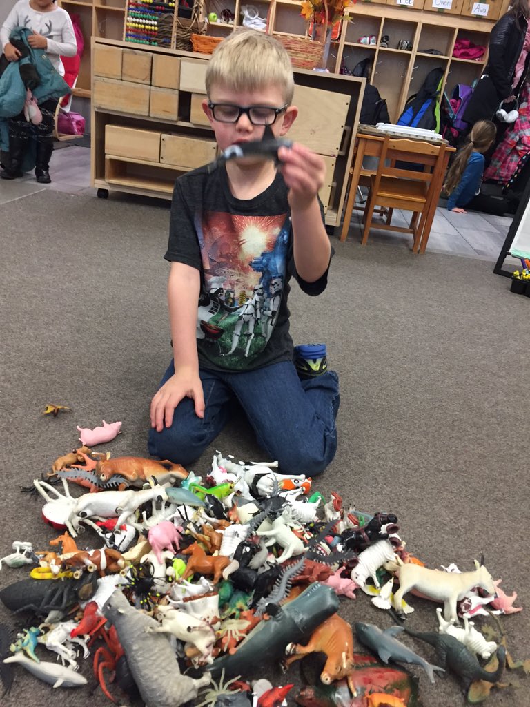 McLennan1977's tweet photo. Helping create the #Arctic playscape by sorting animals to find ones that live in the cold. #mathhappenseverywhere https://t.co/ojdi0MTjx3