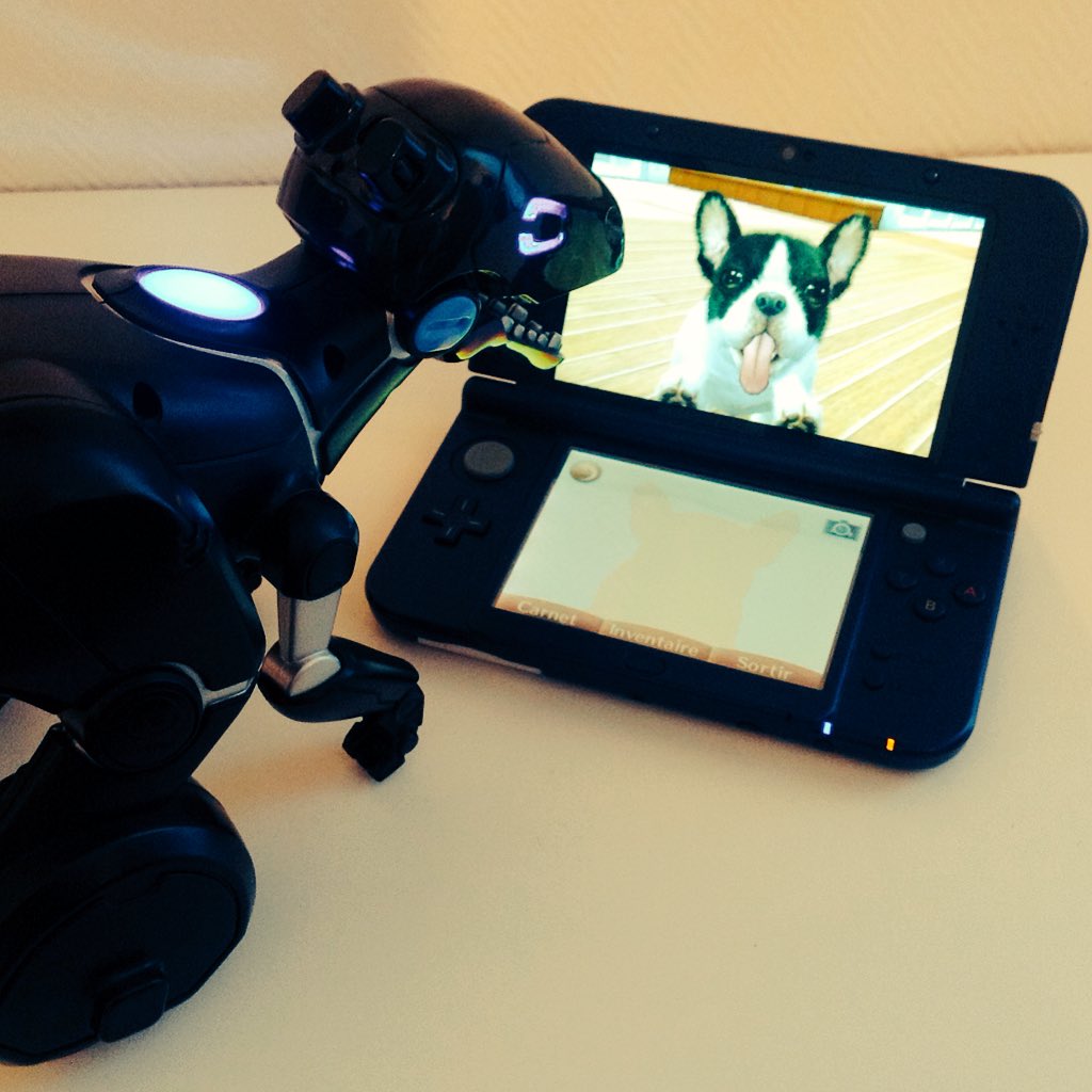 StakLineau's tweet image. Miposaur is tired of playing Nintendogs ! #CHiPK9, it's time to come !
#GetCHiP @MeetCHiPK9 @WowWeeWorld