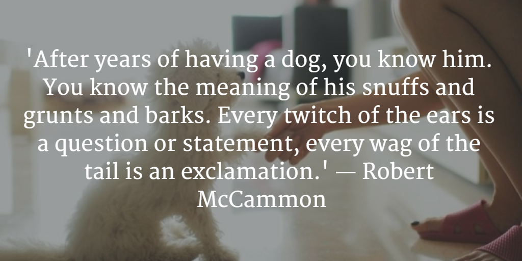 #CanineCareWithMarcTheVet
buff.ly/1OgGOIP
