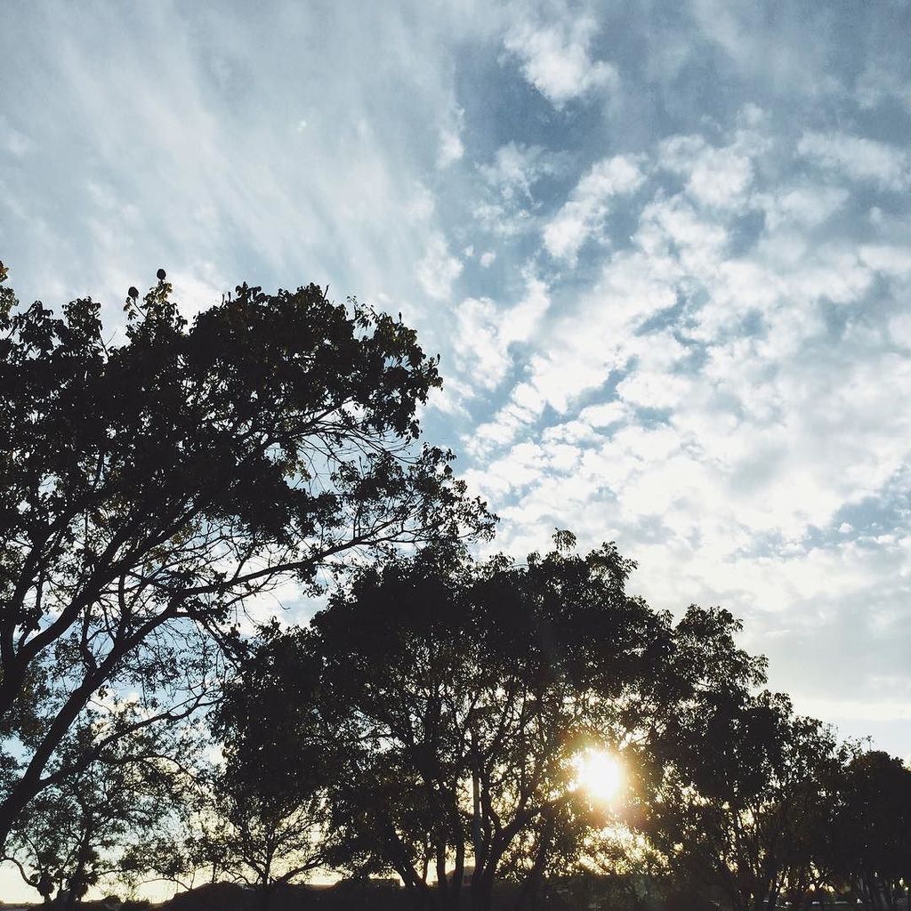 frezzercouk's tweet image. by elroiphoto for more check out ift.tt/1OClwFp good morning beautiful. 
#thecreatorclass #visualmasters