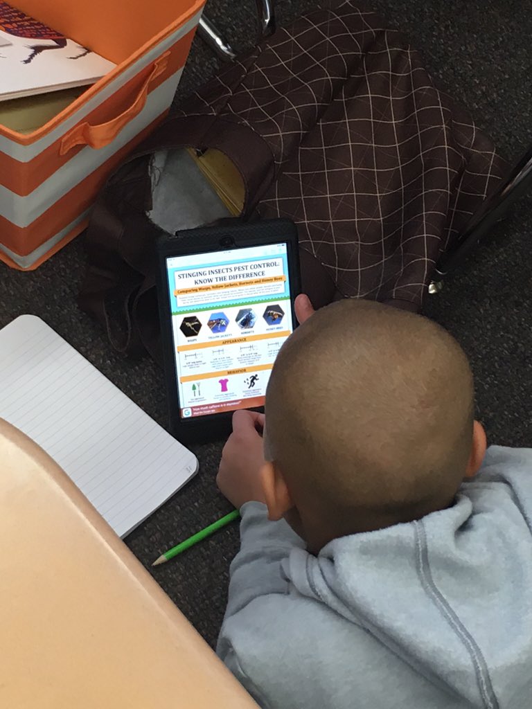 MrsEdwardsELA's tweet photo. Day 2 of exploration, inquiry, and research in @FranksEnglish8 is in full swing! #inquiryboxes https://t.co/5fB0cFiWwK