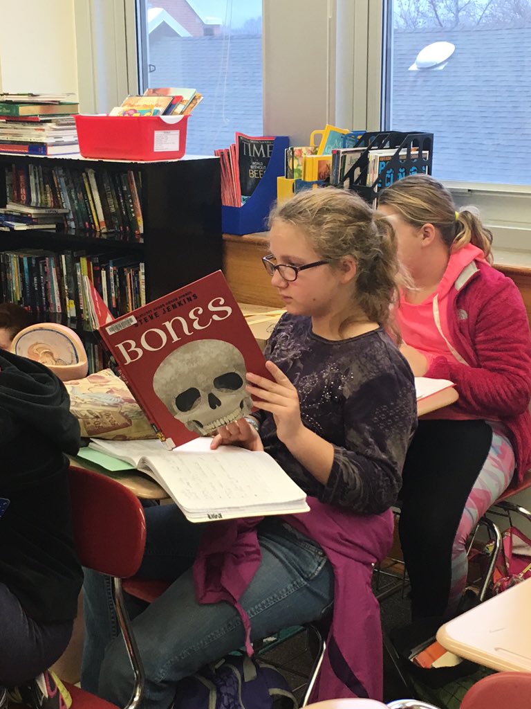 MrsEdwardsELA's tweet photo. Day 2 of exploration, inquiry, and research in @FranksEnglish8 is in full swing! #inquiryboxes https://t.co/5fB0cFiWwK