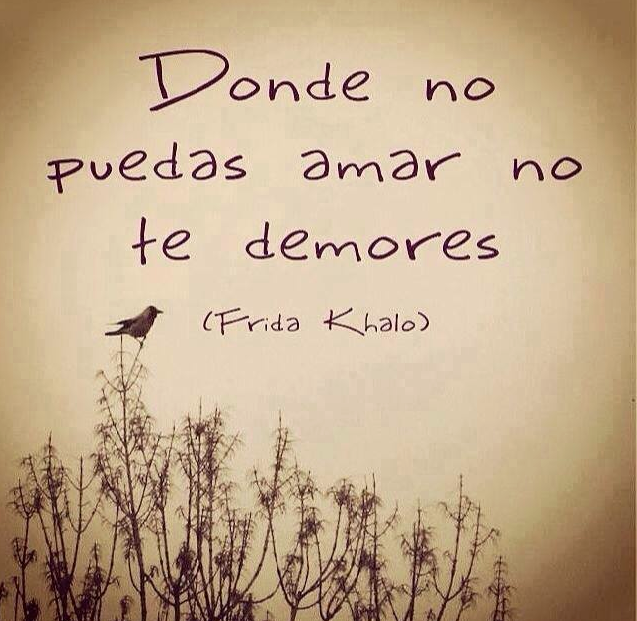BuscaSabiduria's tweet photo. #buscasabiduria https://t.co/BpH3E0C1gG
