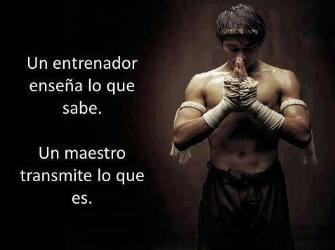 BuscaSabiduria's tweet photo. #buscasabiduria https://t.co/a9HRV0ntvj