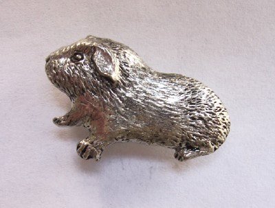 #GuineaPig pewter brooch pin #GuineaPigs

bit.ly/1Nq3m5y

Price inc optional gift box, VAT, UK post