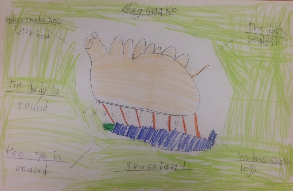 McGeeTeaches's tweet photo. Finished up the adaptations science unit with @MsDye4th #dixieelementary #dixielionsroar https://t.co/xGsnlGWDyJ