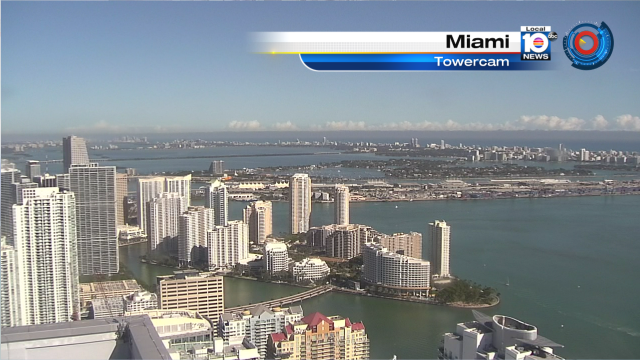 Look at this PRICELESS picture!! The sunshine has return just in time for your lunch break. Watch Local10 for more. https://t.co/98BtixR2Pa