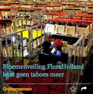 Dit lijkt de toekomst van de veiling in Aalsmeer: digitaal veilen zonder een bloem in zicht
nws.fd.nl/1SCwjRm