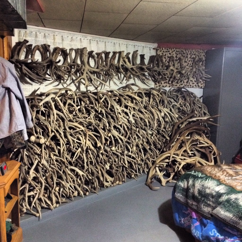 TeamBCN's tweet photo. Got Sheds? #BoneHog https://t.co/09dp6cAcg5