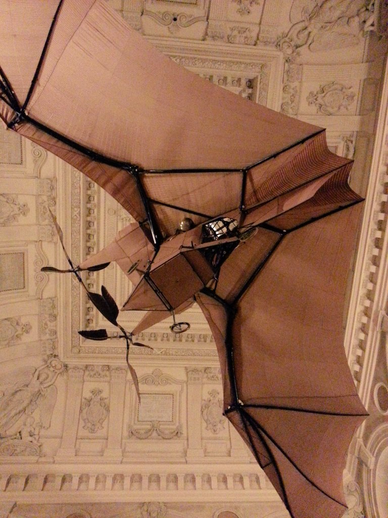 Catalaime's tweet photo. Morphologie de la chauve-souris à la source de "l'Avion 3" de Clément Ader @ArtsetMetiers. https://t.co/66zpN7YuWP