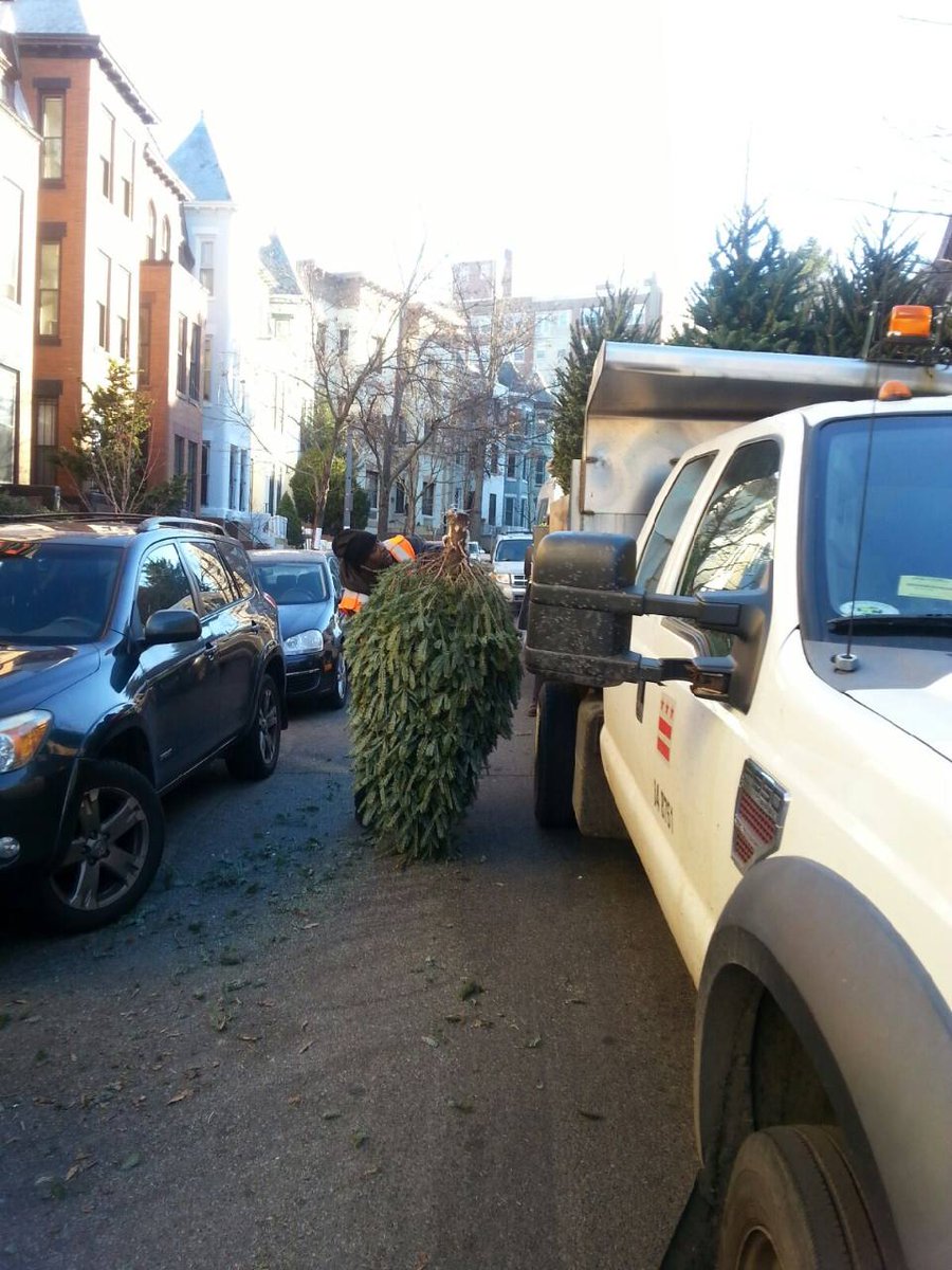 toranfelder's tweet photo. Ward 1 Christmas tree Blitz. Enoch Wilson https://t.co/QdbNIV4Ihg