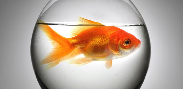 James Cunningham tweet media