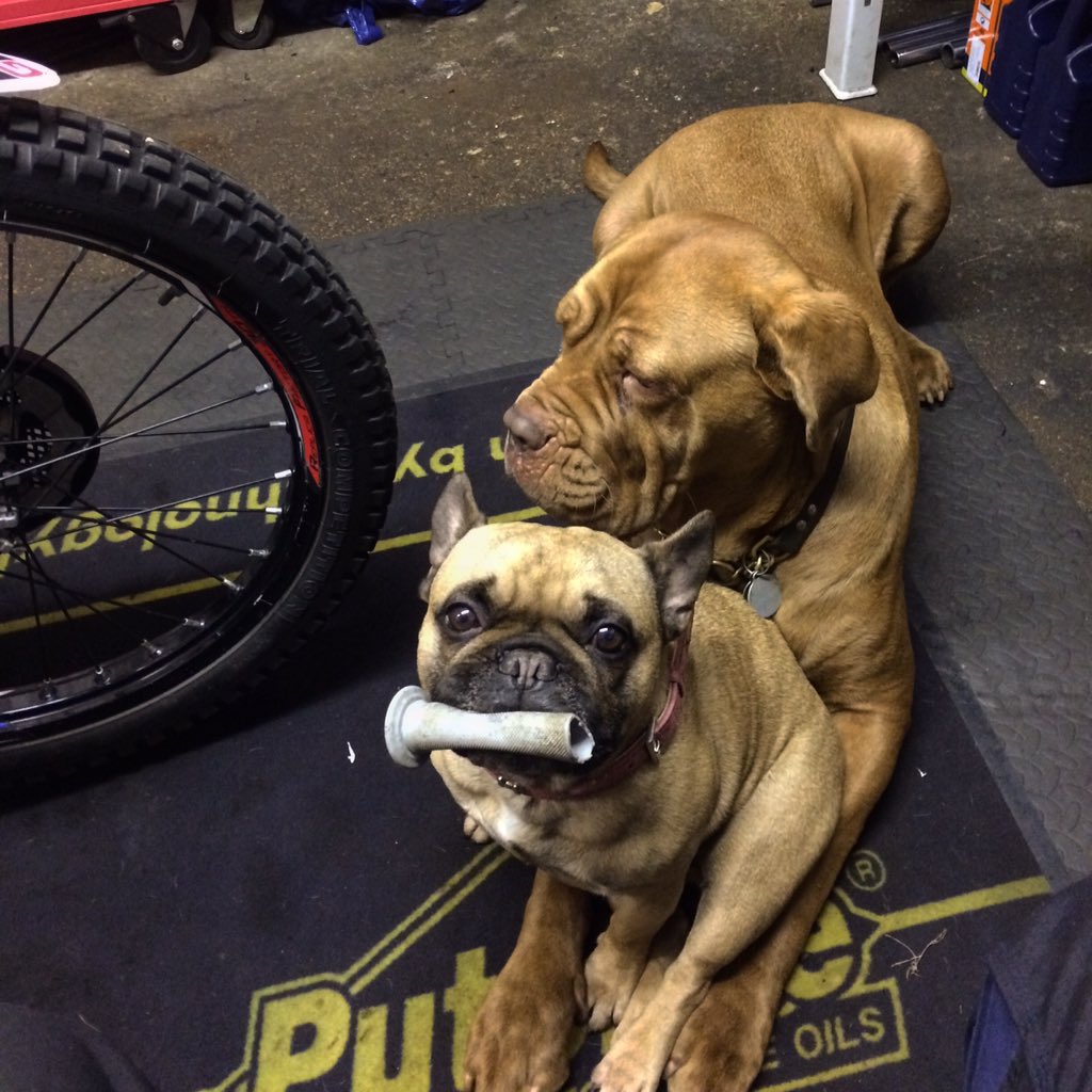 You said you wanted new grips yer??