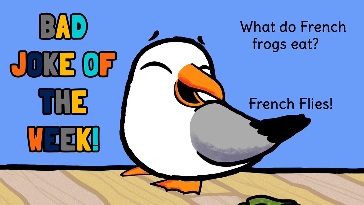 TootTinyTugboat's tweet photo. Gus the Seagull is at it again! #Seagullhumor #BadJokeofTheWeek #funniesttweets https://t.co/ZLE49NM1aN