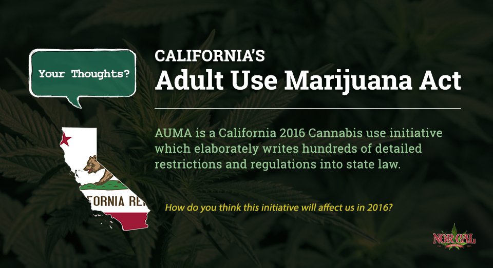 NorCalTradingCo's tweet photo. How will the #AdultUseMarijuanaAct of 2016 impact you? full text here: https://t.co/8i7u2ifYLA #cannabis #mmj #thc https://t.co/pbO78kFIFW