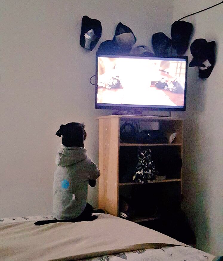 xtianlloydd's tweet image. Ahorita no joven, estoy viendo la tele Jajajaja lo amo tanto #Sapic