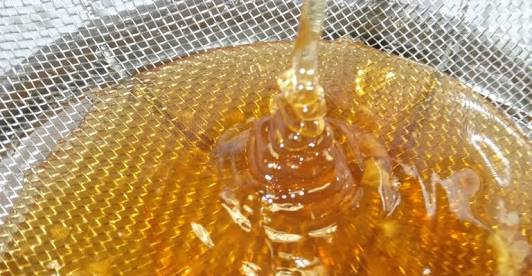 honibee_ng's tweet photo. our honey is not only pure, it is lightly filtered #BestHoney #PureHoney #Goodnessville https://t.co/6OENLW15qb