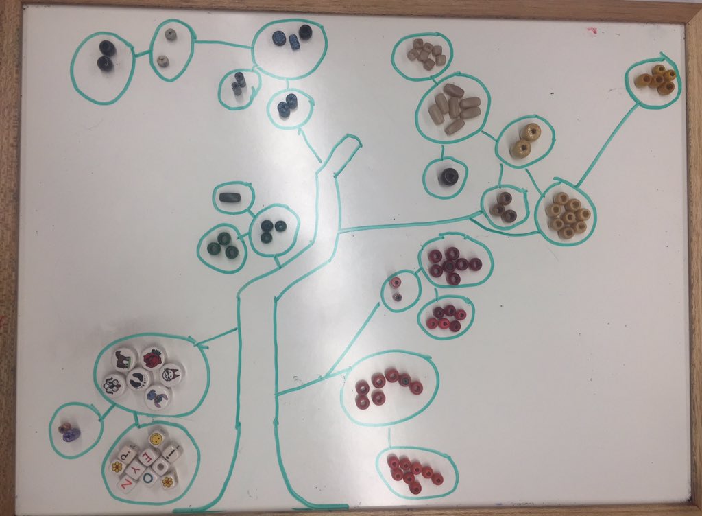 hanforestell's tweet photo. Our stumpy tree of life #trollingbio #prayforTristanstree https://t.co/wuaCHeB30o