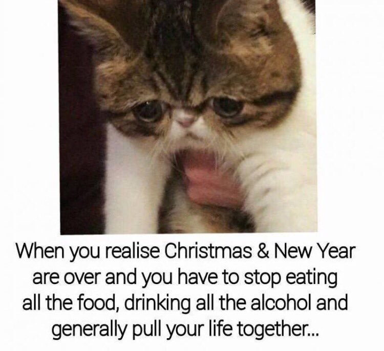 BrittKoning's tweet photo. MOOD https://t.co/utbrAdj97i