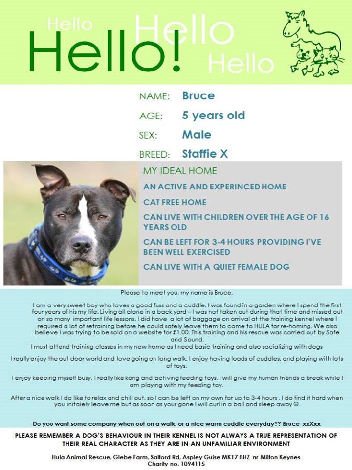 NAWT Bedfordshire (HULA Animal Rescue) on Twitter: NAWT Bedfordshire (HULA Animal Rescue) on Twitter:
