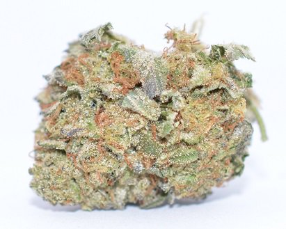 cblabstesting's tweet photo. Who doesn't love "Girl Scout Cookies"!? 21.79% THC! #cblabs #420 cblabs.us Tomorrow's Standard for Medical Testing https://t.co/oHn4mSSQGg