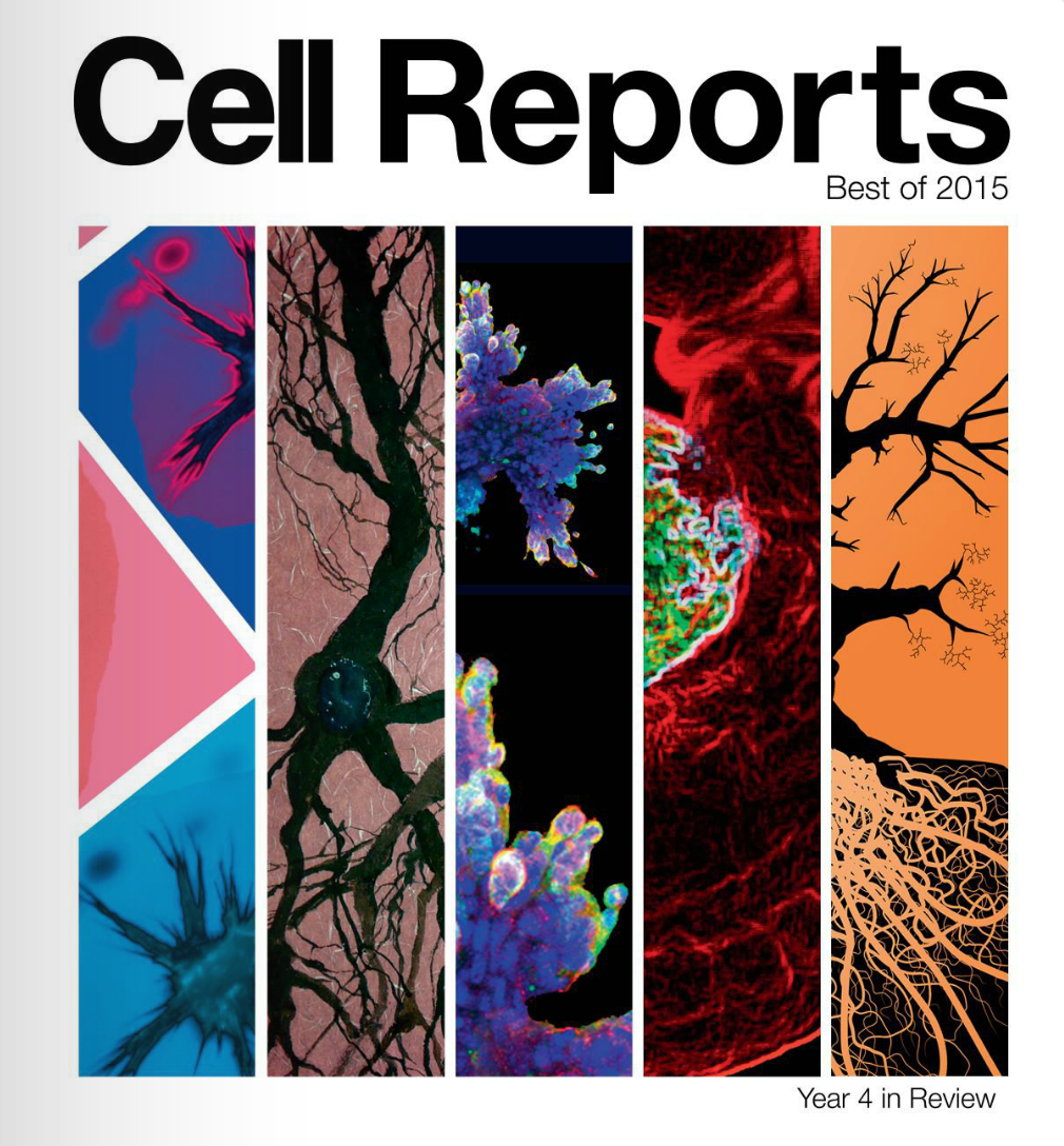 CSHL's tweet photo. Assoc Prof Pavel Osten is the man behind one of @CellReports top studies of 2015: https://t.co/RR5jfuA1Gz - #goLIsci https://t.co/zSKaaXoU7y