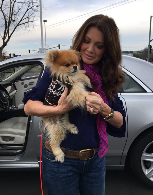 dodo's tweet photo. Celebrity @LisaVanderpump gets in car immediately to rescue pup in need https://t.co/PHQnd0fIcq https://t.co/GmB0aVy6nA