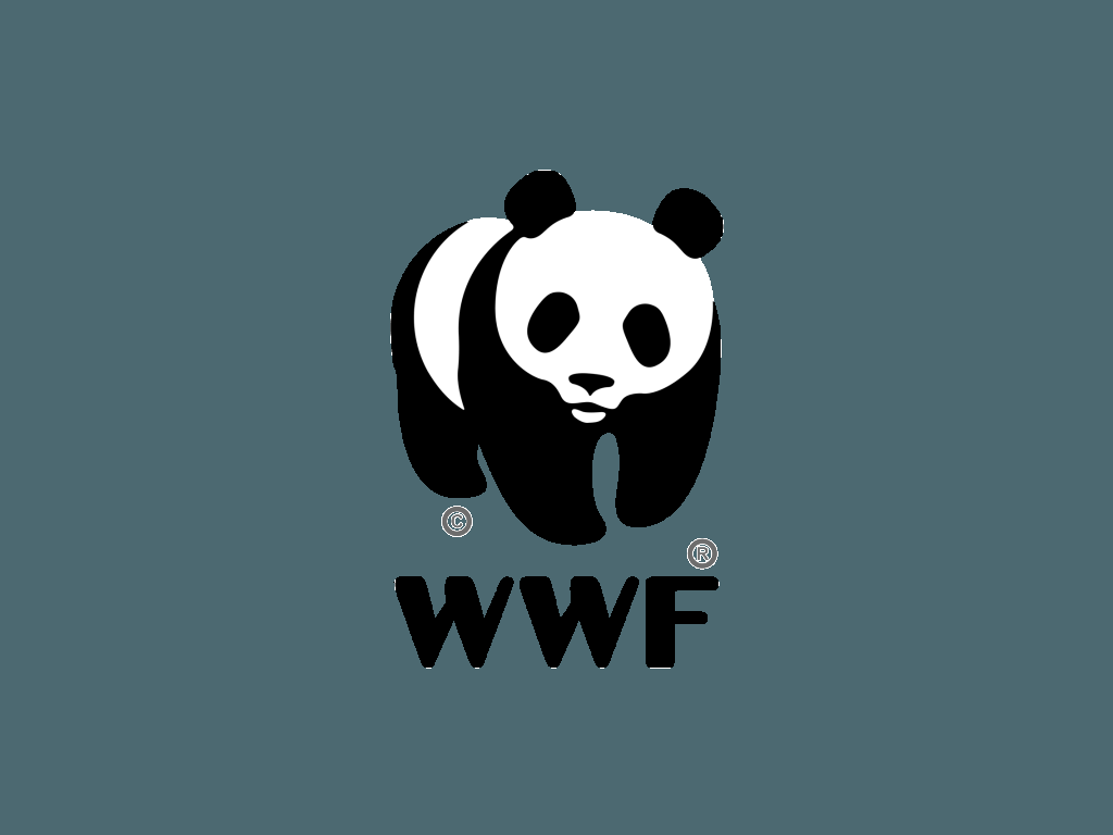 LaConstrictora's tweet photo. WWF (World Wildlife Fund) y su compromiso natural https://t.co/Z9x2F8hLyR https://t.co/rmbf6Ir03f