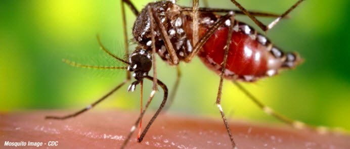 utmbhealth's tweet photo. #Zika Virus Disease: what it is, protection against &amp; how UTMB is working to eliminate. https://t.co/31Z0mXYxVF https://t.co/kM9jiutPbr