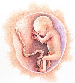 babyymaker's tweet photo. a females reproductive system is responsible for holding and protecting the offspring until birth. #9months https://t.co/QWkUbXPmLs