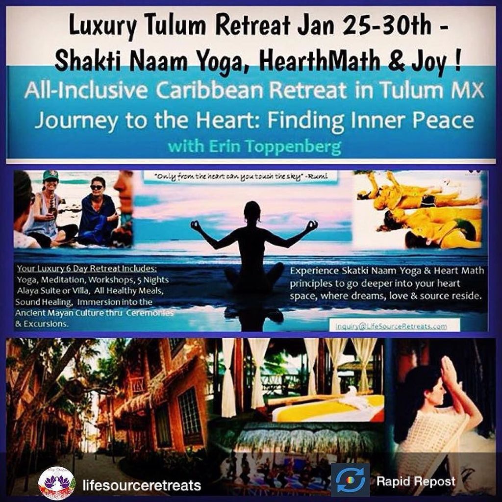 AlayaTulum's tweet image. Our next retreat is January 25-30.... #journeytotheheart #findinginnerpeace which features… ift.tt/1TIa9M6