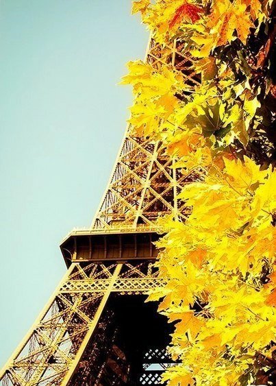 TorreEiffeI's tweet photo. Hermosa Primavera. 😘😍🇫🇷🗼🍃🍂#TorreEiffel #TourEiffel #Francia #París #Primavera https://t.co/Dv2Eu3Tmcr