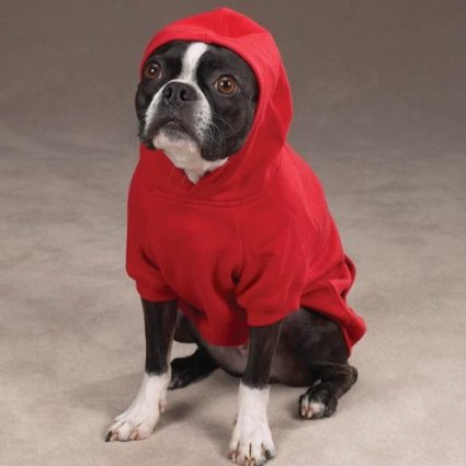 planetcoolstuff.com/pet-hoodies/ Pet Hoodie