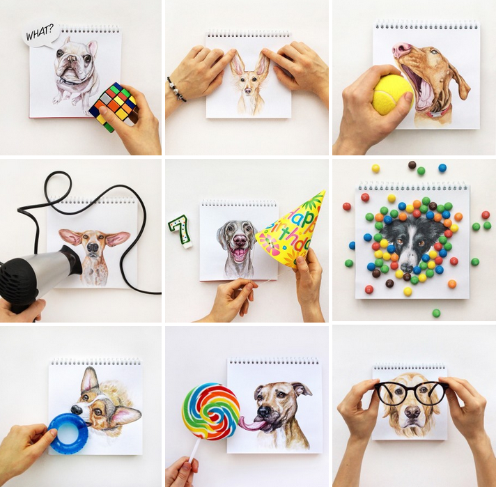 GetLeashed's tweet photo. One of our favorite pet art series from 2015 - Valerie Susik's #InteractivePets https://t.co/b5mcacdttf https://t.co/kvmYyi80WB