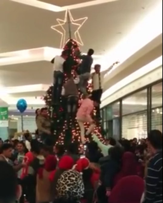 RLeion's tweet image. صور للإعتداء على شجرة الكريسماس بـ مول العرب ..... ناس همجية وزبالة والسبب معروف !!!