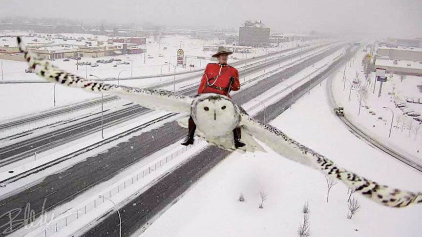 ItsMcMikeTime's tweet image. So apparently, the traffic snow owl was from a part in Canada that doesn&apos;t have Mounties.   #PostItAnyway