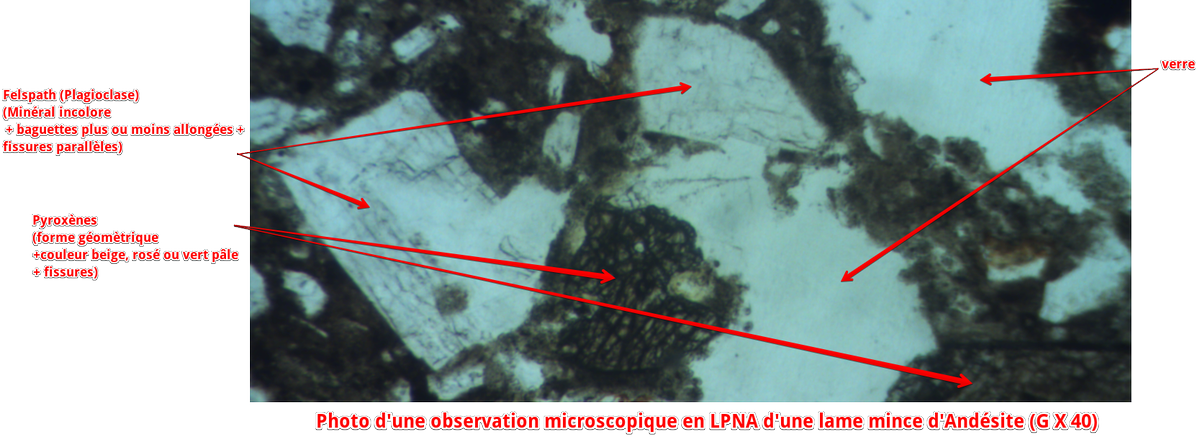 AngelineNeves's tweet photo. Photo d'une roche magmatique volcanique, tel que l'Andésite, observée en LPNA #TSsubduction2015 #FloraTS2015 https://t.co/g88Xr1DaBS