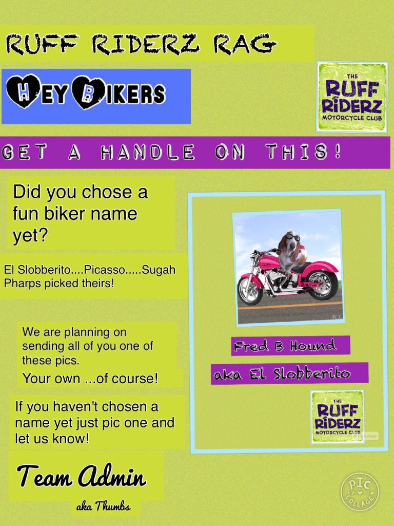 Dogz4Fun's tweet photo. @Raffa2006 hey Raffa...let us know if you want a biker name! https://t.co/VUx3jnNice