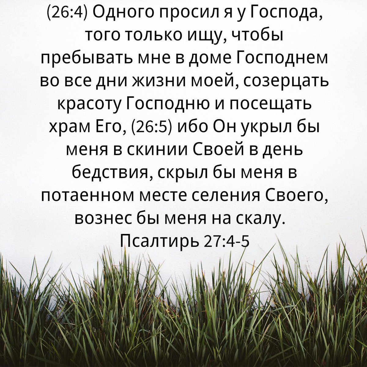 maxakul's tweet image. bible.com/400/psa.27.4-5…