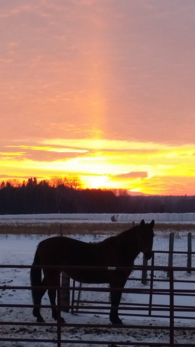 AprilFuel's tweet photo. I wish I could be there physically but I will be there spiritually. Tonight's sunset seems fitting. #Barn1 https://t.co/ag1Mv77gMr