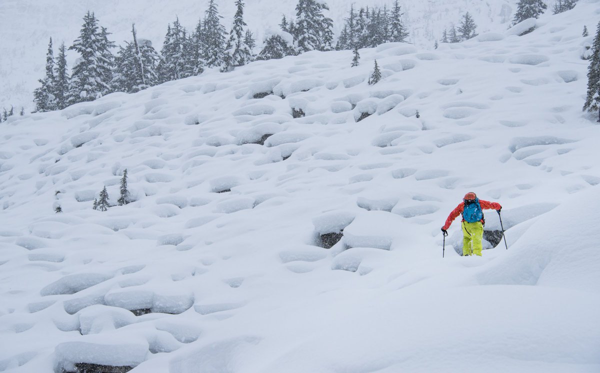 G3Gear's tweet photo. Mmmm pillows. Looks like Pat had no fun in #RogersPass & #DuffeyLake https://t.co/hpdwvad7Ch #G3splitboarding https://t.co/SGk0ILNsGZ