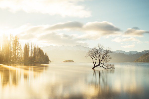 NZStuff's tweet photo. Professional photographer @LeBackpacker picks Wanaka as the best place to live in NZ https://t.co/zIFqqkaJeg https://t.co/aIY52KMlg9