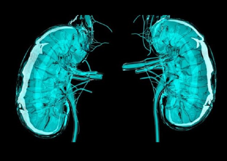 techadd1's tweet image. On The Road From Stem Cells to Kidney Organoids goo.gl/tyv1P7?eMem0